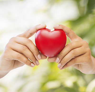 a hand holding a heart